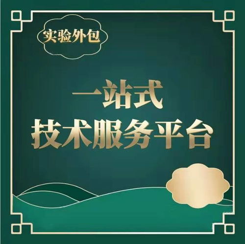 如何有效采購技術服務外包 價格與供應商信息管理指南